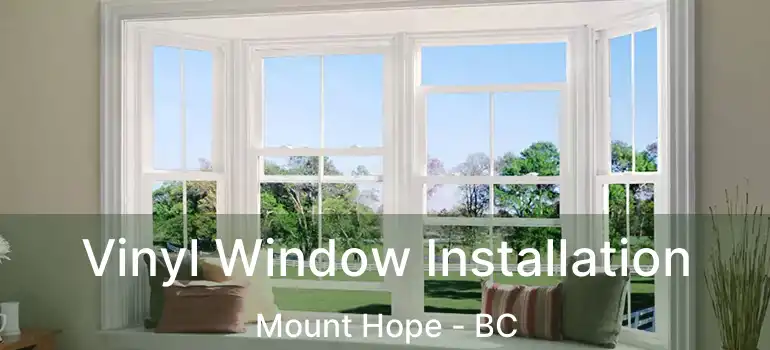  Vinyl Window Installation Mount Hope - BC