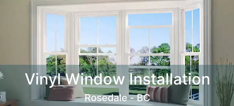  Vinyl Window Installation Rosedale - BC