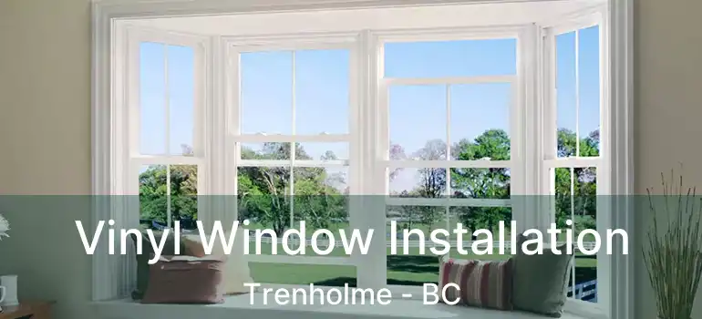  Vinyl Window Installation Trenholme - BC