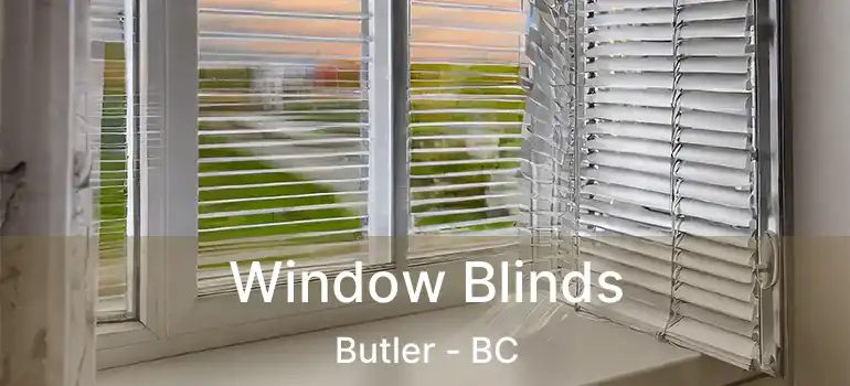  Window Blinds Butler - BC