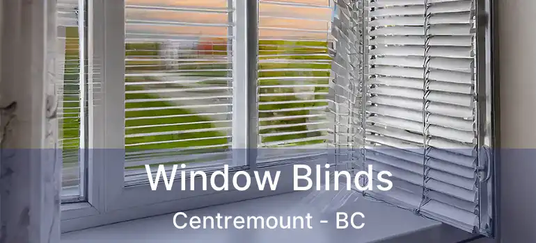  Window Blinds Centremount - BC