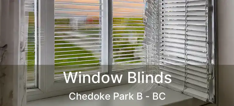  Window Blinds Chedoke Park B - BC