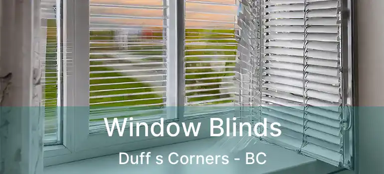  Window Blinds Duff s Corners - BC