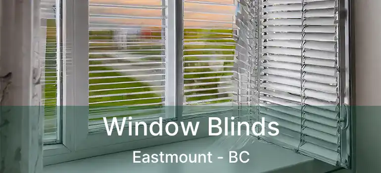  Window Blinds Eastmount - BC