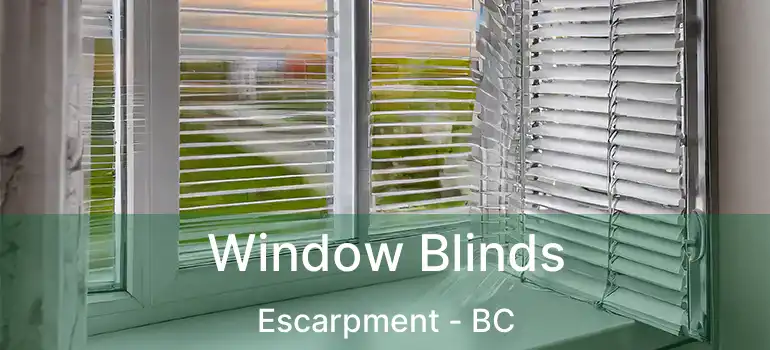  Window Blinds Escarpment - BC