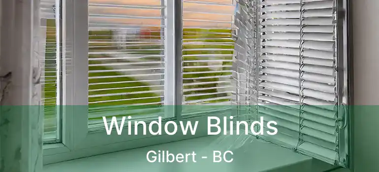  Window Blinds Gilbert - BC