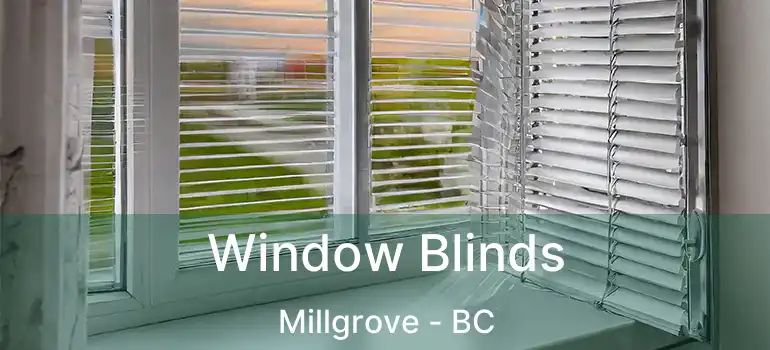  Window Blinds Millgrove - BC