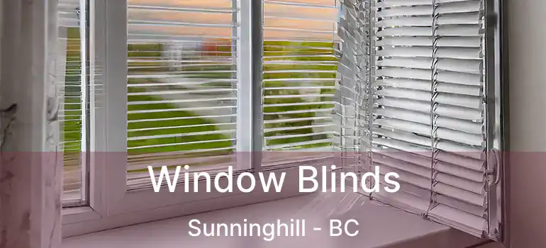  Window Blinds Sunninghill - BC