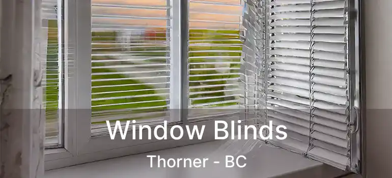  Window Blinds Thorner - BC