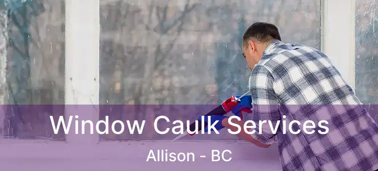  Window Caulk Services Allison - BC