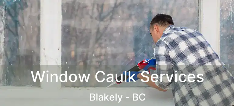  Window Caulk Services Blakely - BC