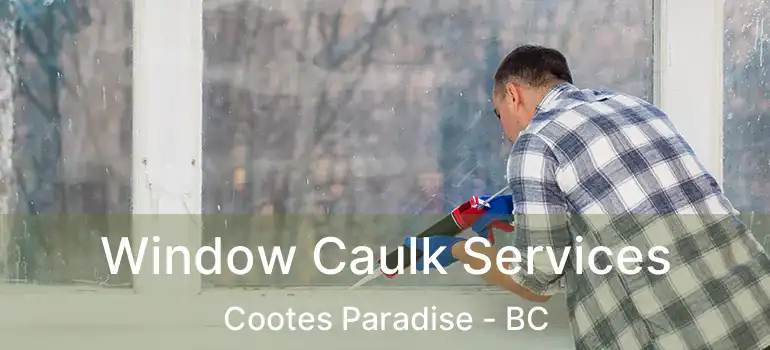  Window Caulk Services Cootes Paradise - BC