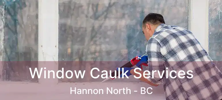  Window Caulk Services Hannon North - BC