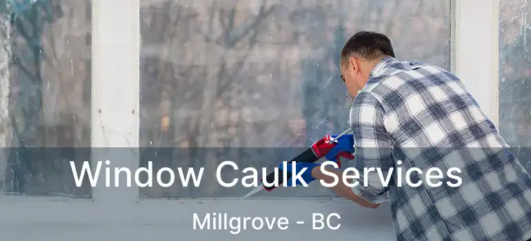  Window Caulk Services Millgrove - BC