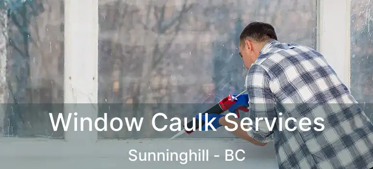  Window Caulk Services Sunninghill - BC