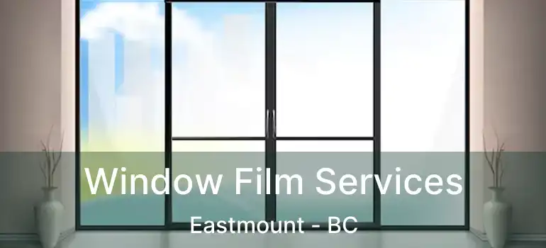  Window Film Services Eastmount - BC