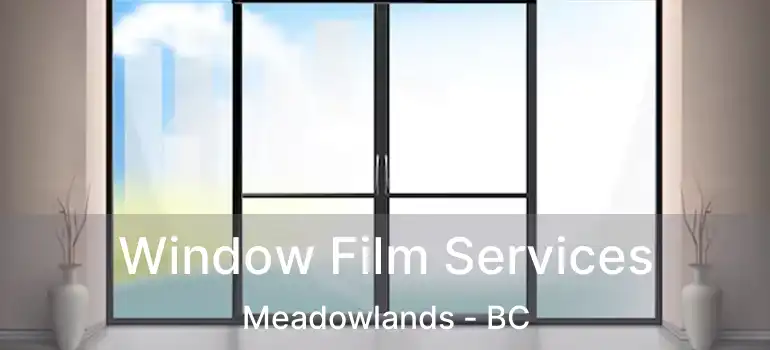  Window Film Services Meadowlands - BC