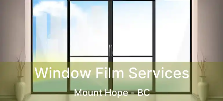  Window Film Services Mount Hope - BC