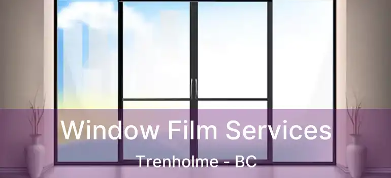  Window Film Services Trenholme - BC