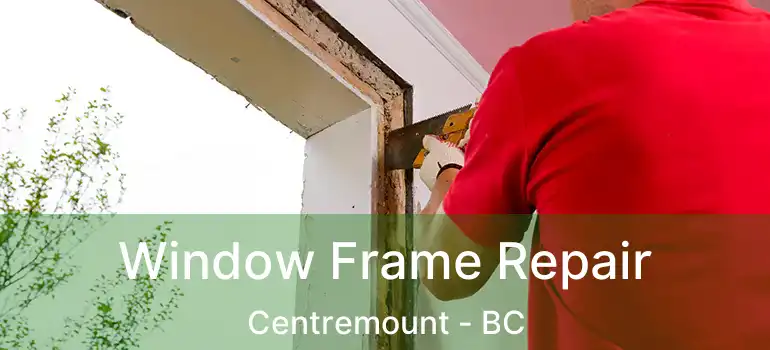  Window Frame Repair Centremount - BC
