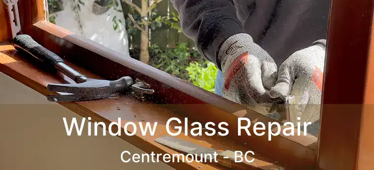  Window Glass Repair Centremount - BC