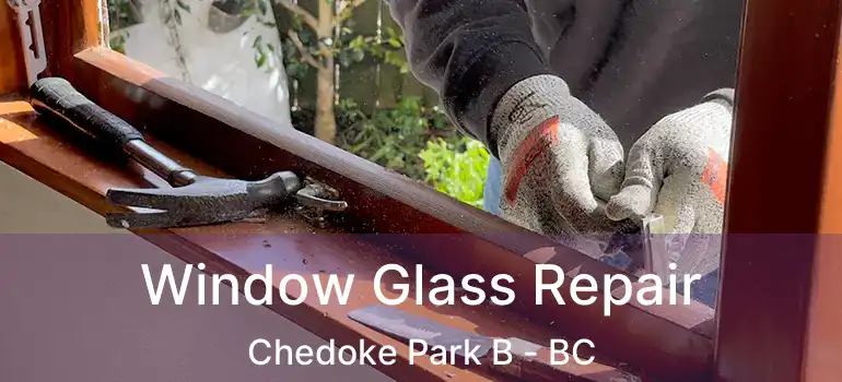  Window Glass Repair Chedoke Park B - BC