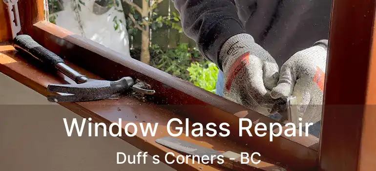  Window Glass Repair Duff s Corners - BC