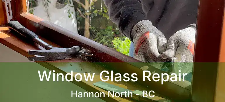  Window Glass Repair Hannon North - BC