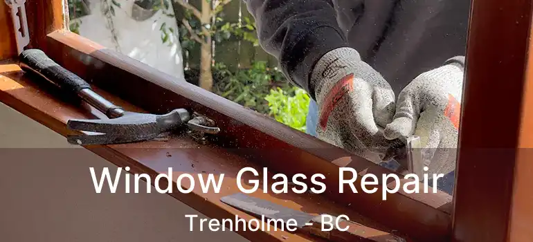  Window Glass Repair Trenholme - BC