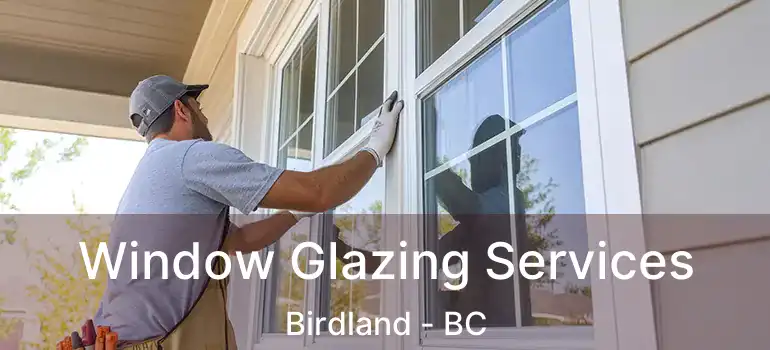  Window Glazing Services Birdland - BC