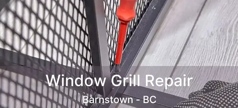  Window Grill Repair Barnstown - BC