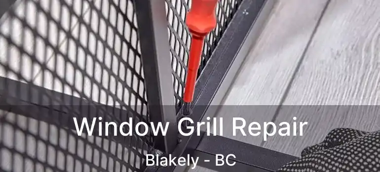  Window Grill Repair Blakely - BC
