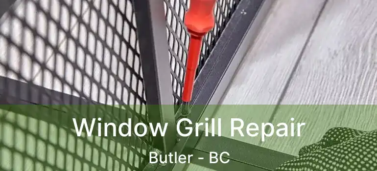  Window Grill Repair Butler - BC