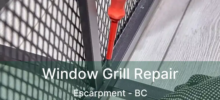  Window Grill Repair Escarpment - BC