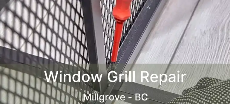 Window Grill Repair Millgrove - BC