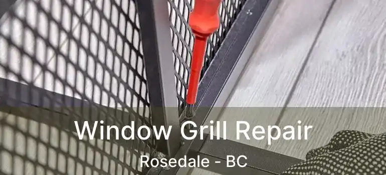  Window Grill Repair Rosedale - BC