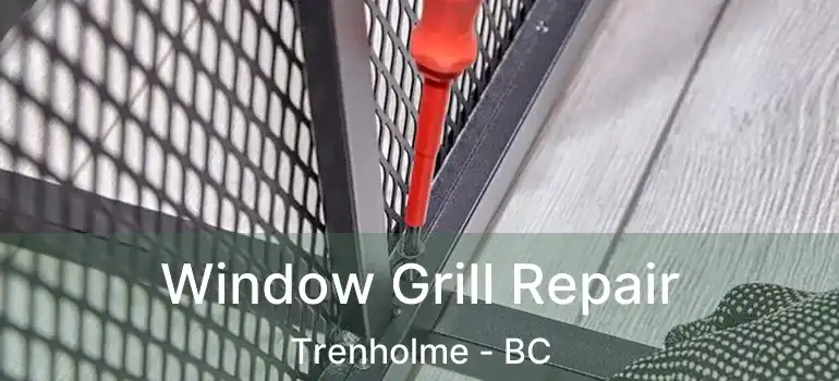  Window Grill Repair Trenholme - BC