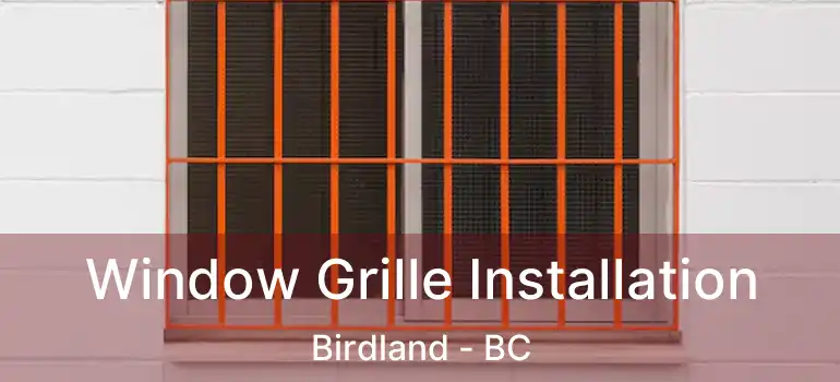  Window Grille Installation Birdland - BC