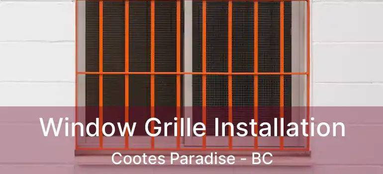  Window Grille Installation Cootes Paradise - BC