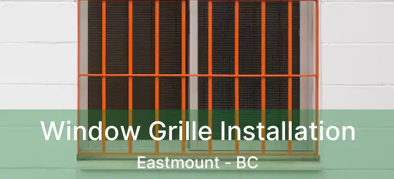  Window Grille Installation Eastmount - BC