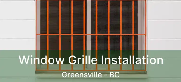  Window Grille Installation Greensville - BC