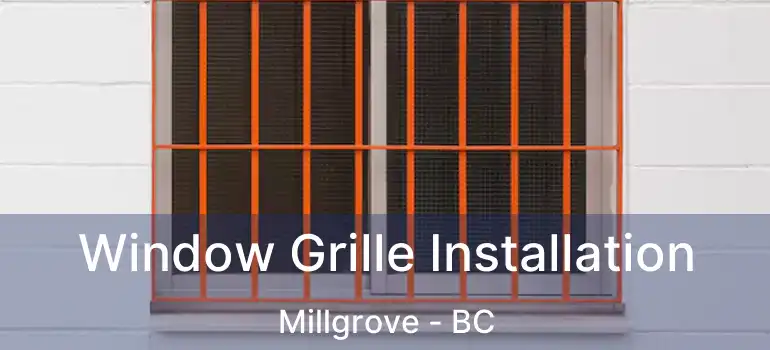  Window Grille Installation Millgrove - BC