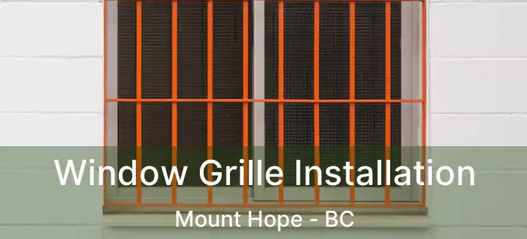  Window Grille Installation Mount Hope - BC