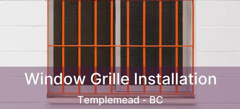  Window Grille Installation Templemead - BC