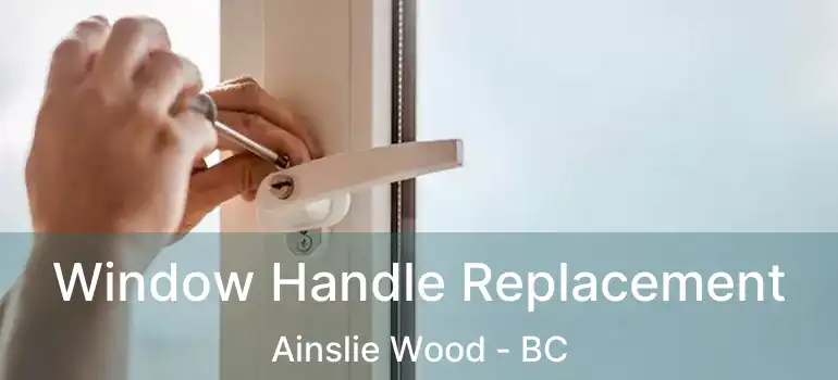  Window Handle Replacement Ainslie Wood - BC