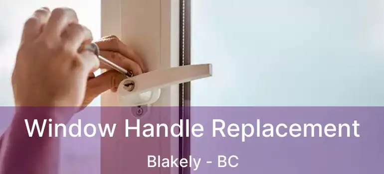  Window Handle Replacement Blakely - BC