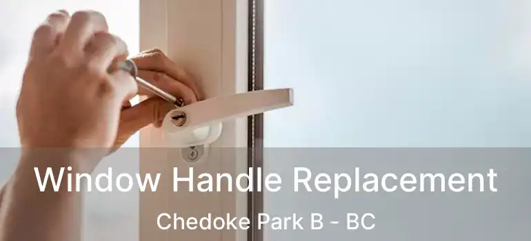  Window Handle Replacement Chedoke Park B - BC
