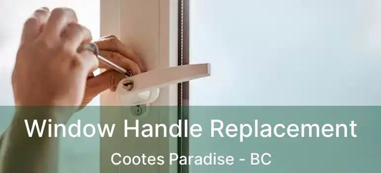  Window Handle Replacement Cootes Paradise - BC