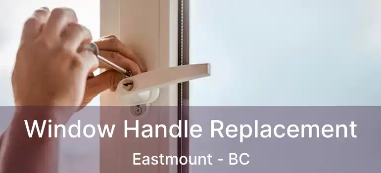  Window Handle Replacement Eastmount - BC