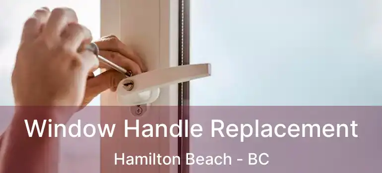  Window Handle Replacement Hamilton Beach - BC